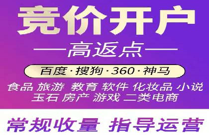 竞价SEM托管服务：成功案例揭秘